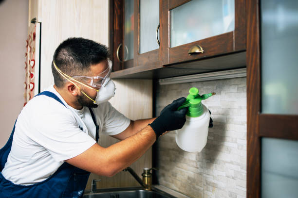 Best Pest Inspection Near Me  in Whitemarsh Island, GA