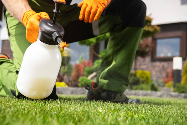 Best Rat Extermination Near Me  in Whitemarsh Island, GA
