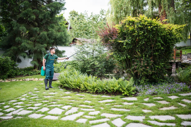 Best Wasp Removal Services  in Whitemarsh Island, GA