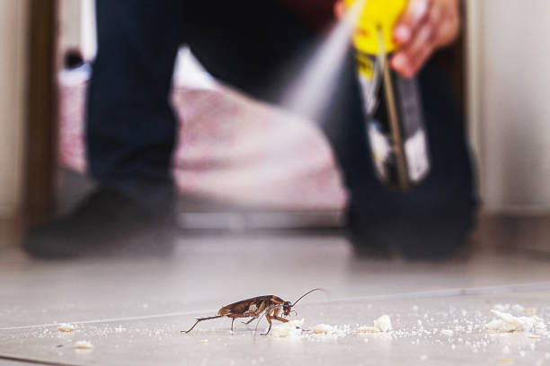 Best Pest Prevention Services  in Whitemarsh Island, GA